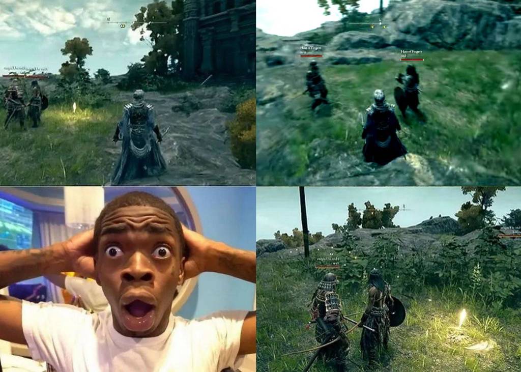 Elden Ring split-screen